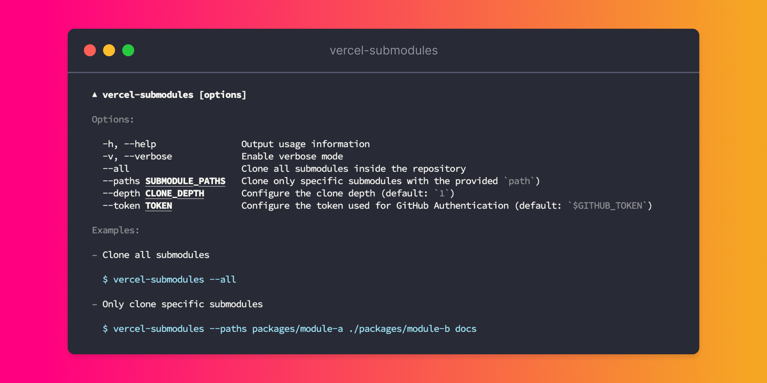 Usage information for vercel-submodules