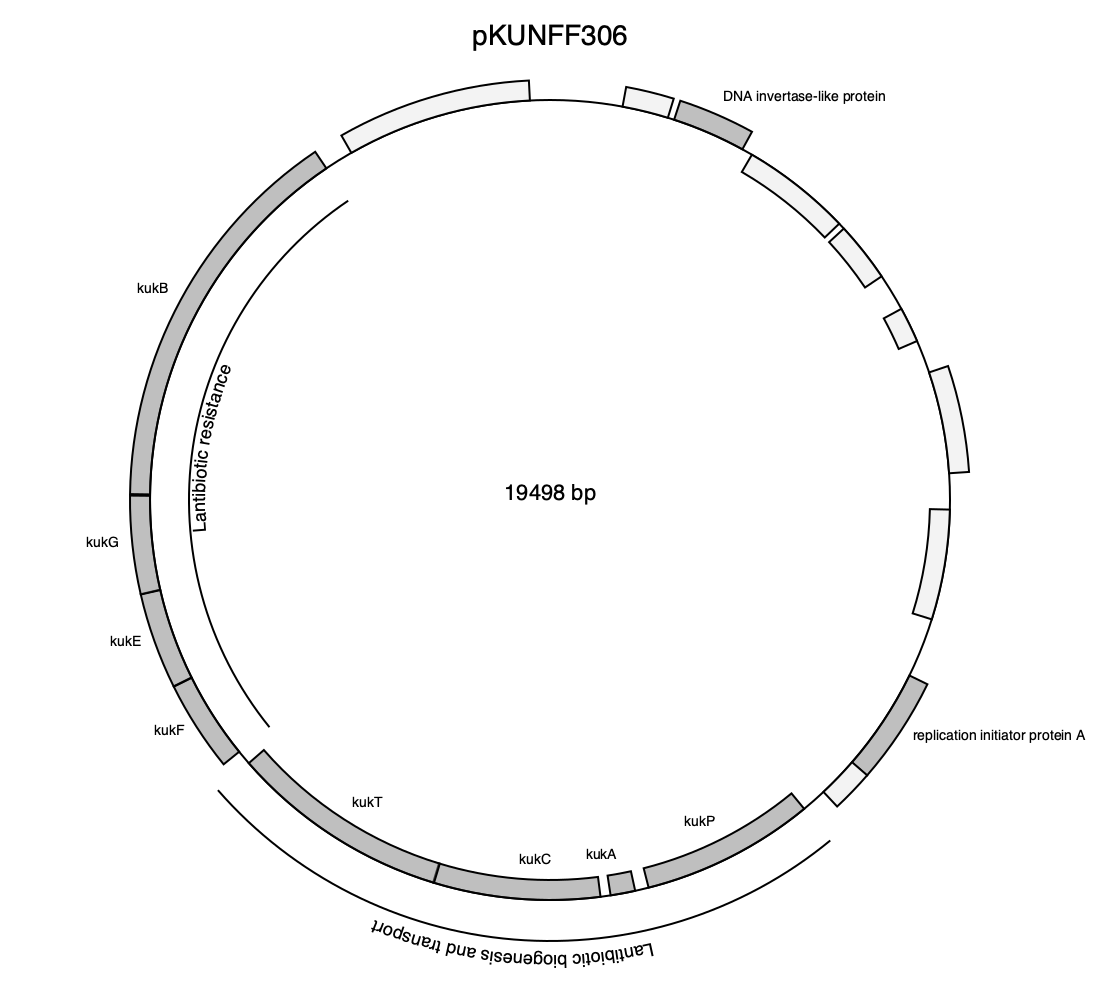 Example plasmid